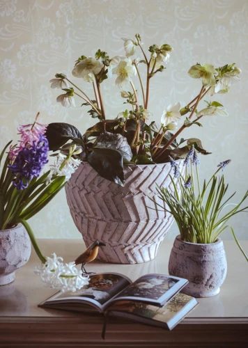 Grigio Old Osłonka pudrowy róż z geometrycznym wzorem, B