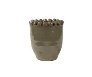 Delia Osłonka smukła B