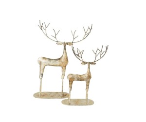 Barok old Jelonek S prawy