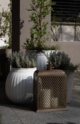 Rustic Lampion ażurowy 1B