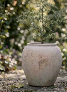 Garden old Donica white