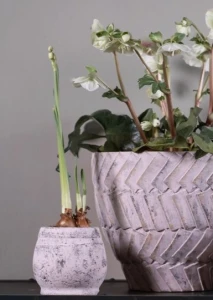 Grigio old Osłonka pękata  pudrowy róż  przecierana 1C