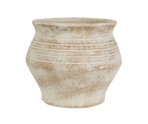 Albero Osłonka pękata 2A