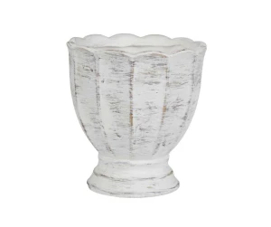 Albero white Osłonka puchar A