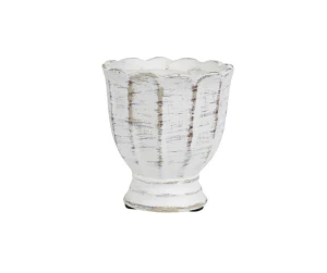 Albero white Osłonka puchar B