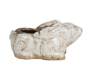 Roma Osłonka zając A