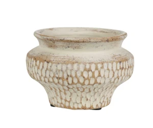 Albero Osłonka pękata 4B