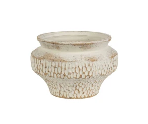 Albero Osłonka pękata 4C