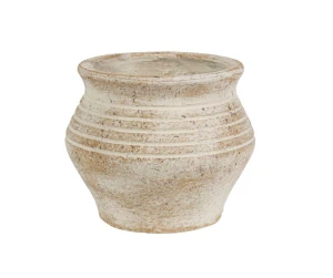 Albero Osłonka pękata 2B