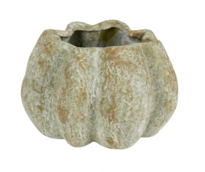 Antique Osłonka pękata