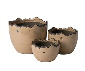 Rose Osłonka jajo B