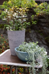 Modern light grey Donica B