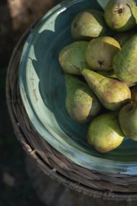 Verona Patera A
