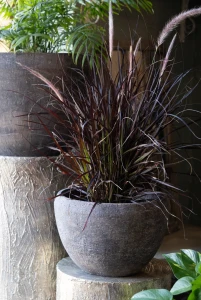 Modern brown Donica 2C