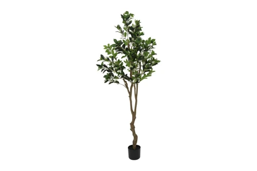 Rośliny sztuczne Drzewko 4 - Oliwka, Osmantus, Fikus, Dracena