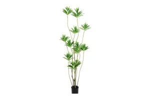 Rośliny sztuczne Drzewko 6 - Dracena, Szeflera, Mahoń, Jacaranda