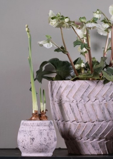 1080 _DSF1199-Edit kopia mala.jpg