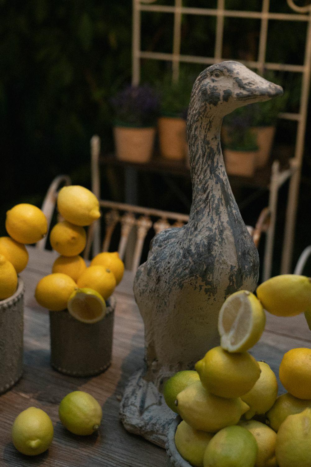 Garden_green_dekoracyjna_kaczka_3.jpg